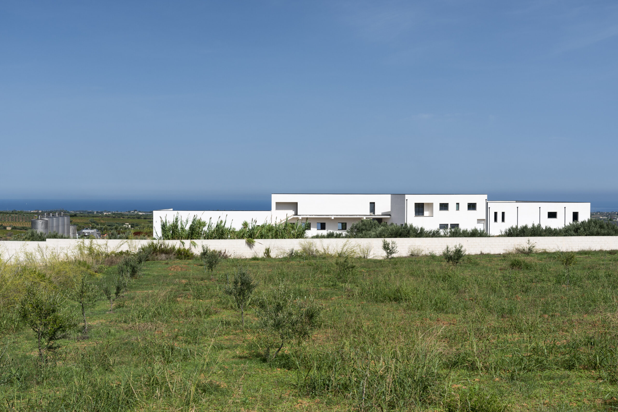 Cantina Tola